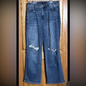 Judy Blue Denim Jeans Women’s 16W Straight Leg Distressed Everyday Capsule Blue
